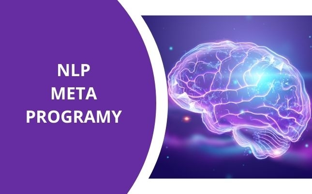 NLP Meta Programy